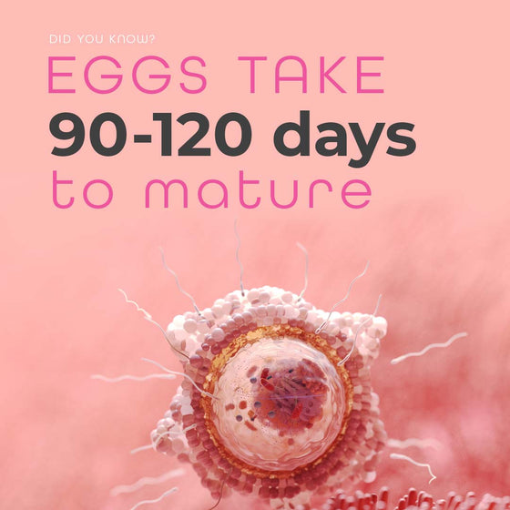 Human eggs take 90-120 days to mature text on background of egg closeup