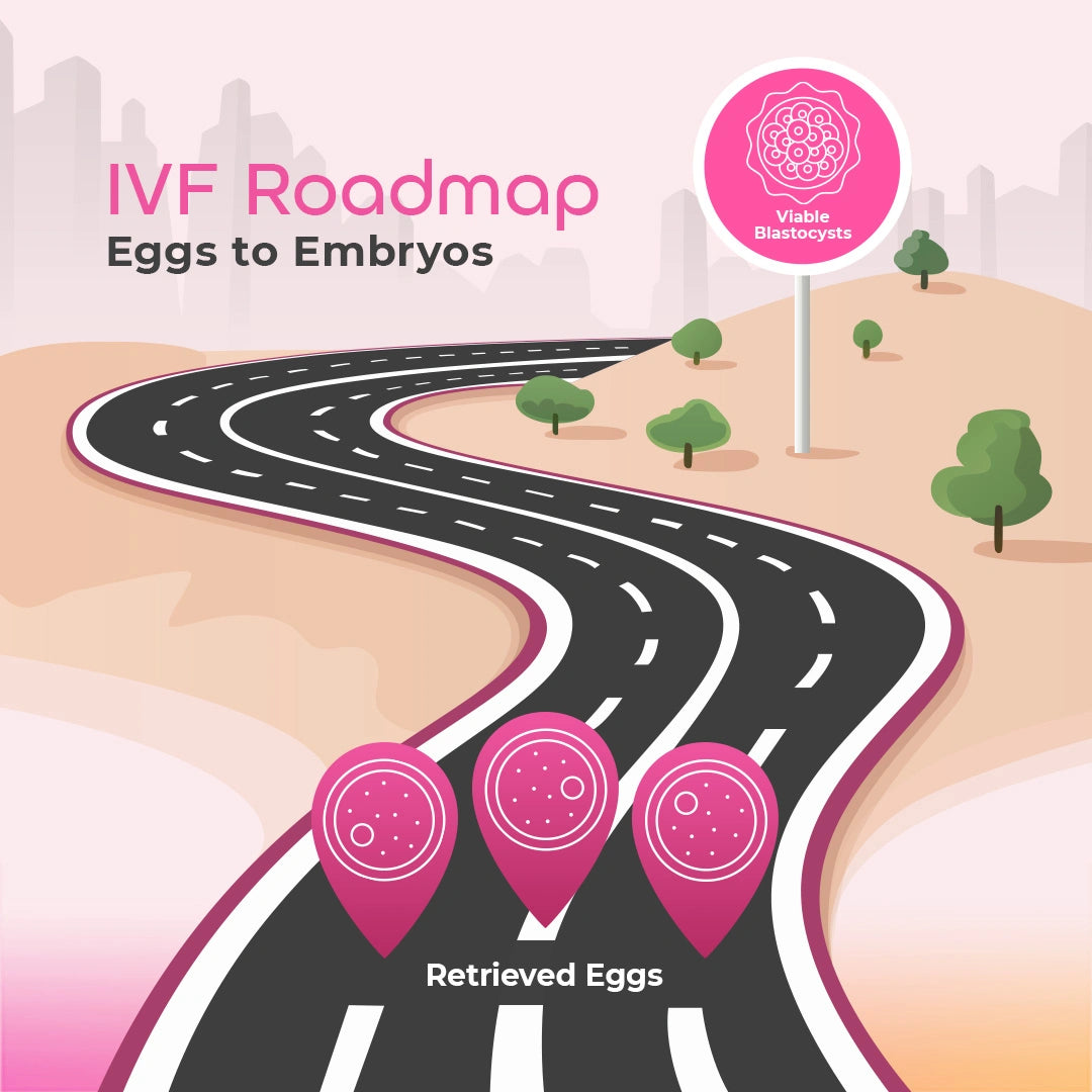 How to Maximize the Number of Quality Embryos from your  IVF Cycle