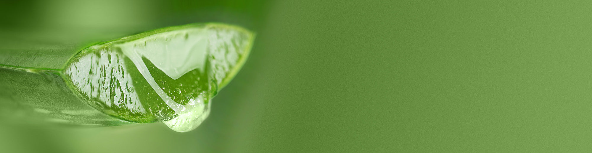 Aloe Vera Leaf Juice
