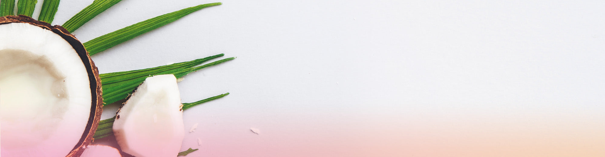 Coconut Oil Fatty Acids